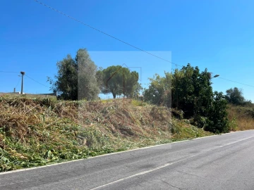Terreno para Venda em Canha