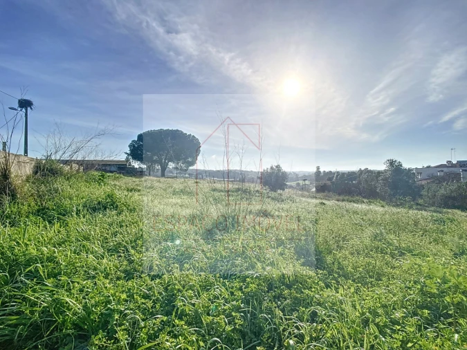 Terreno para Venda em Canha Foto 14