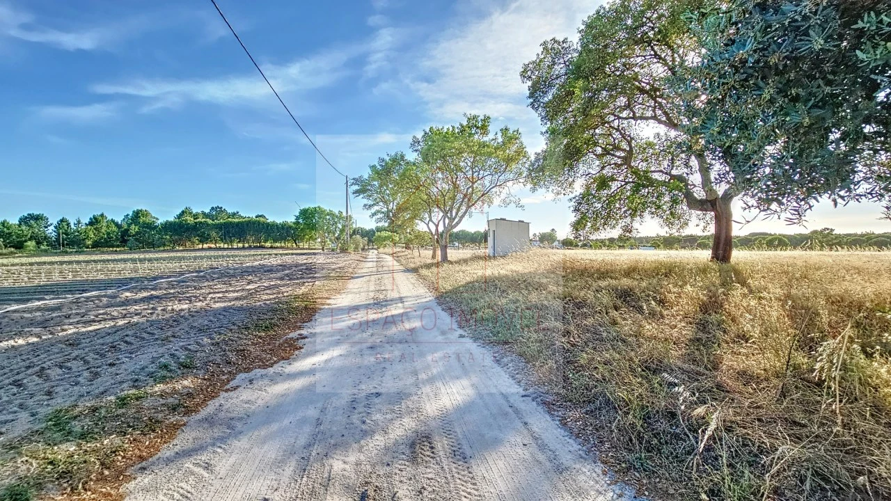 Terreno Agricola ou Rústico para Venda em Branca Foto 2