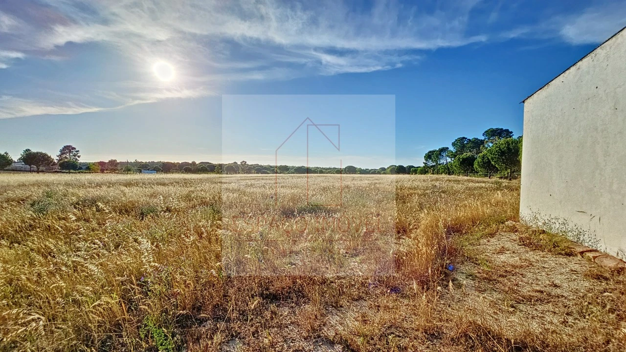 Terreno Agricola ou Rústico para Venda em Branca Foto 5