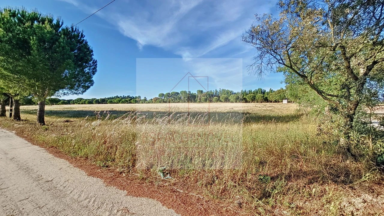 Terreno Agricola ou Rústico para Venda em Branca Foto 8