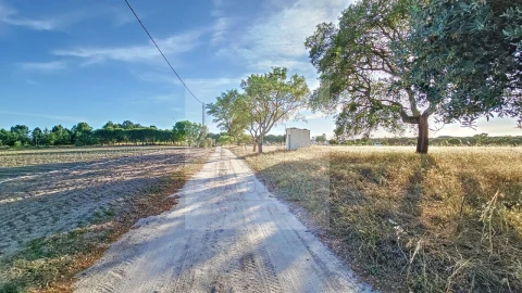 Terreno Agricola ou Rústico para Venda em Branca