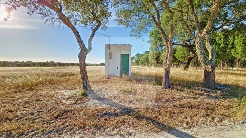 Terreno Agricola ou Rústico para Venda em Branca