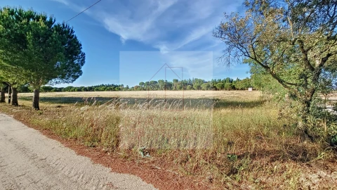 Terreno Agricola ou Rústico para Venda em Branca