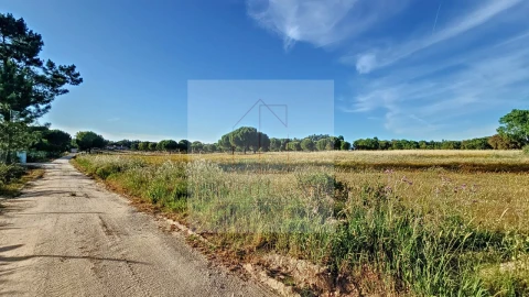 Terreno Agricola ou Rústico para Venda em Branca