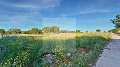 Terreno Agricola ou Rústico para Venda em Branca
