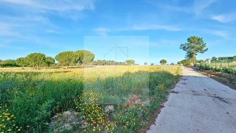 Terreno Agricola ou Rústico para Venda em Branca
