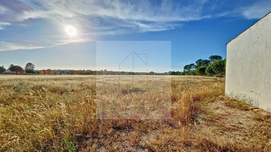 Terreno Agricola ou Rústico para Venda em Branca Foto 5