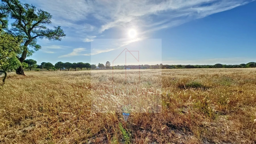 Terreno Agricola ou Rústico para Venda em Branca Foto 7