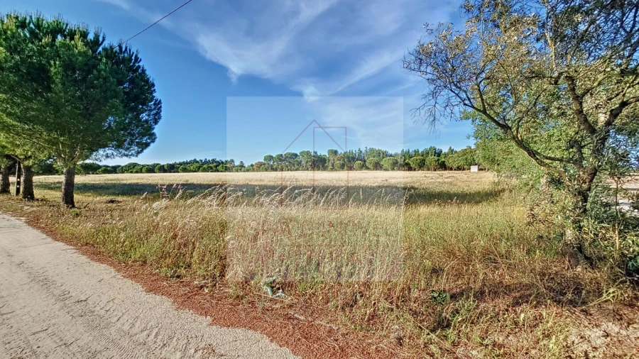 Terreno Agricola ou Rústico para Venda em Branca Foto 8