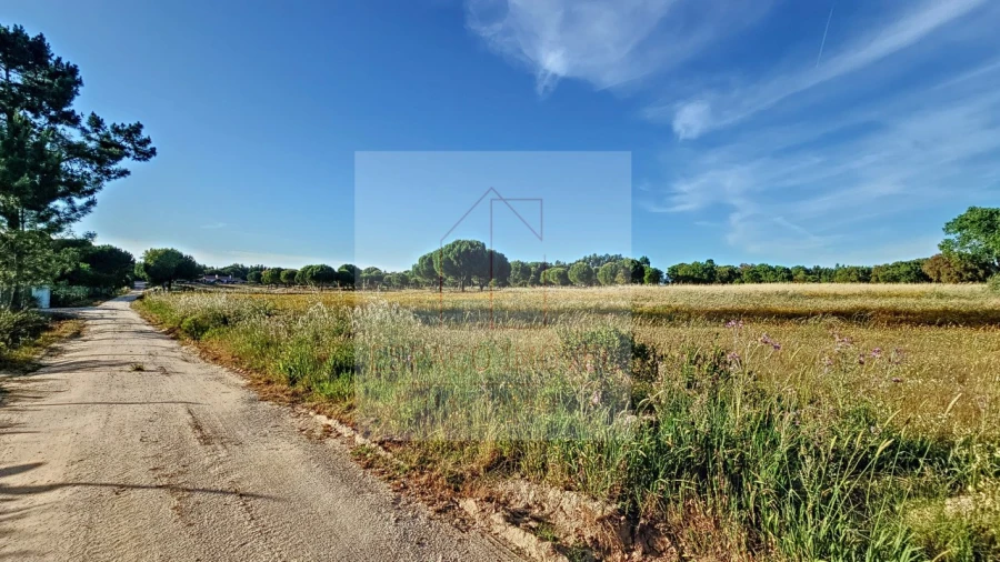 Terreno Agricola ou Rústico para Venda em Branca Foto 11