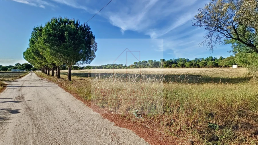 Terreno Agricola ou Rústico para Venda em Branca
