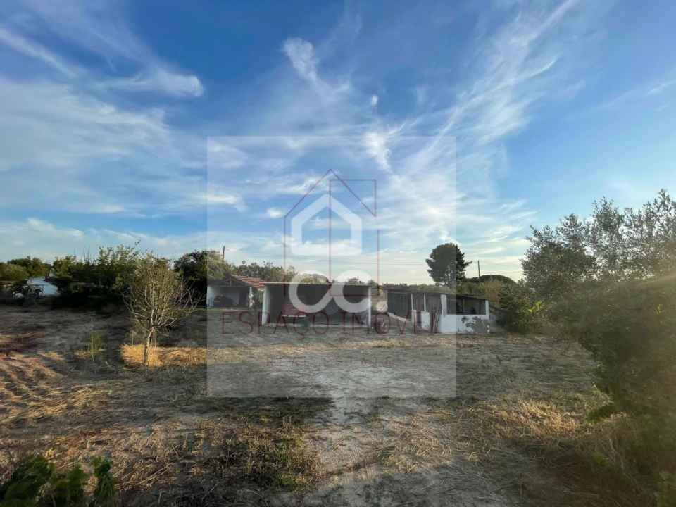 Quinta T3 para Venda em Branca Foto 1