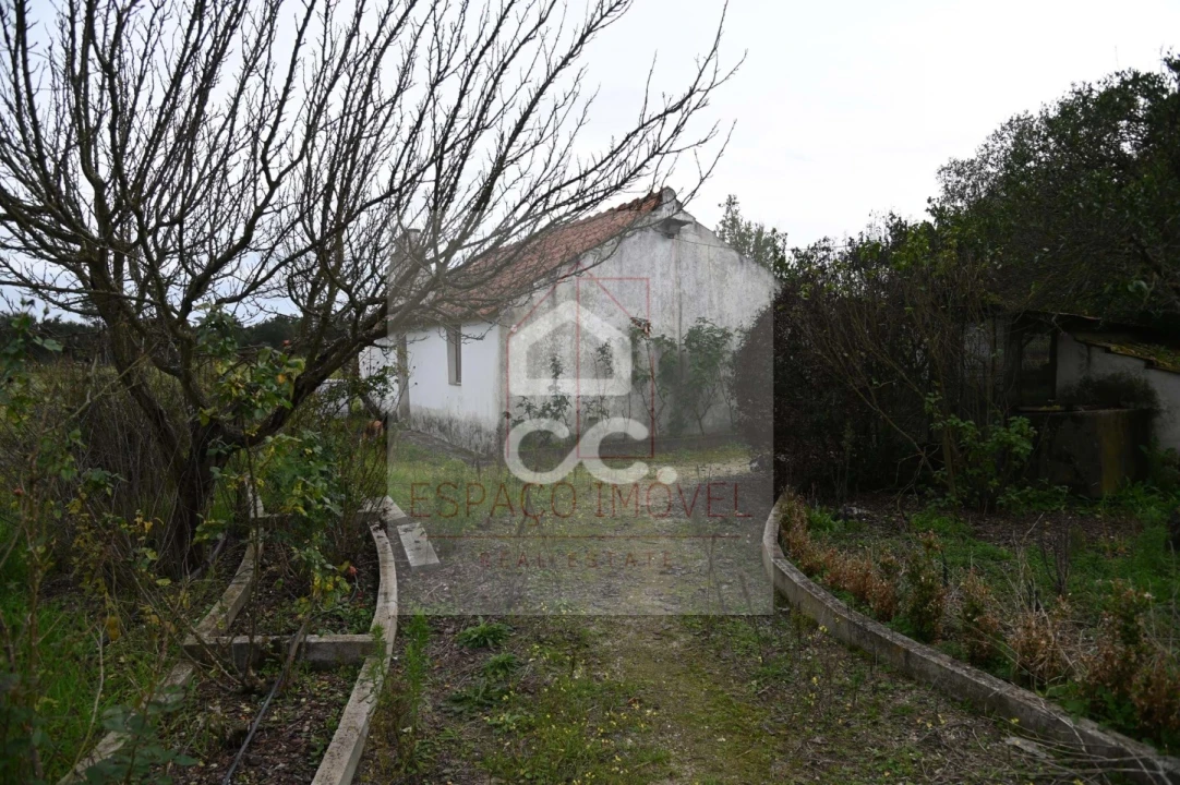 Quinta T3 para Venda em Branca Foto 6
