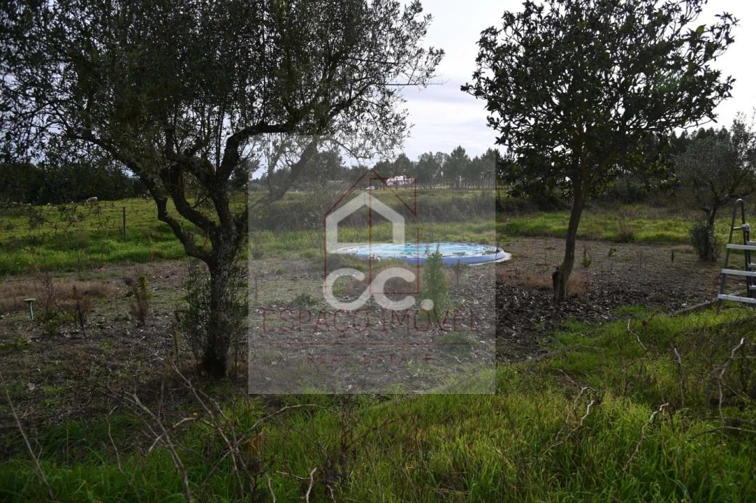 Quinta T3 para Venda em Branca Foto 16