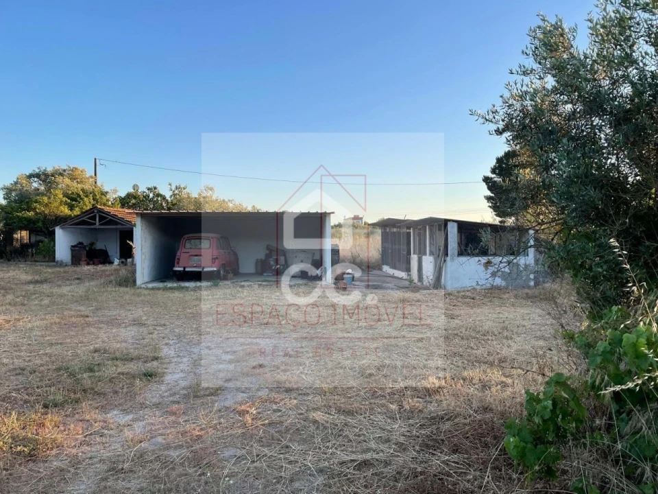 Quinta T3 para Venda em Branca Foto 30