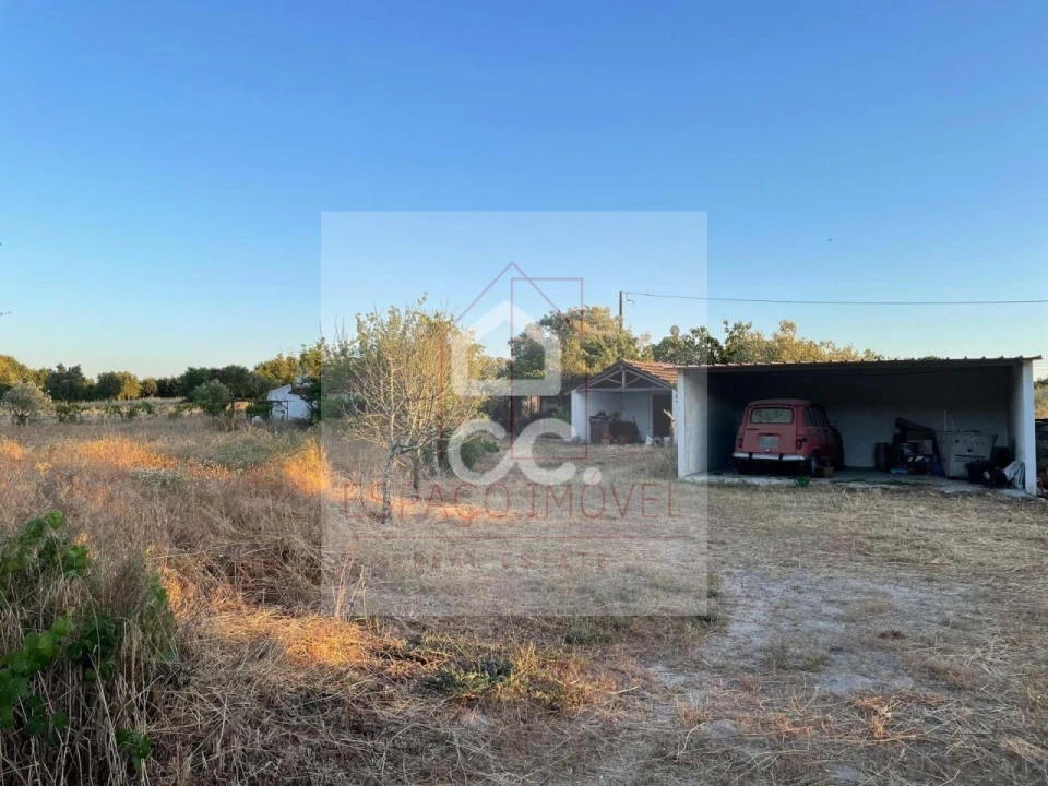 Quinta T3 para Venda em Branca Foto 32