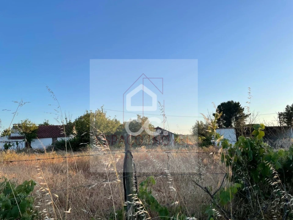 Quinta T3 para Venda em Branca Foto 38