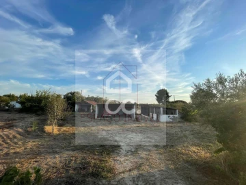 Quinta T3 para Venda em Branca
