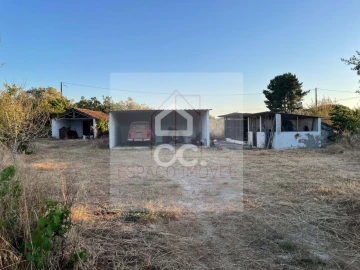 Quinta T3 para Venda em Branca