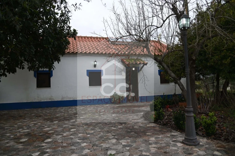 Quinta T3 para Venda em Branca Foto 3