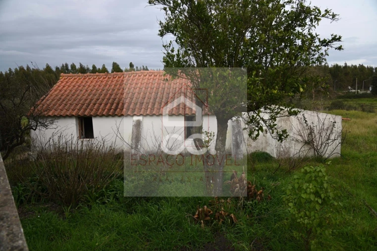 Quinta T3 para Venda em Branca Foto 5