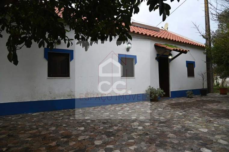 Quinta T3 para Venda em Branca Foto 9