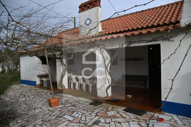 Quinta T3 para Venda em Branca Foto 10