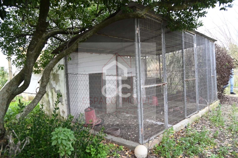 Quinta T3 para Venda em Branca Foto 13