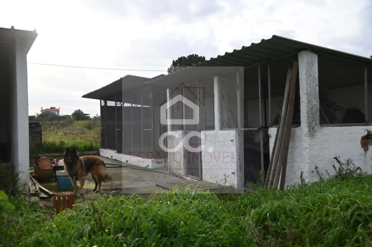 Quinta T3 para Venda em Branca Foto 14
