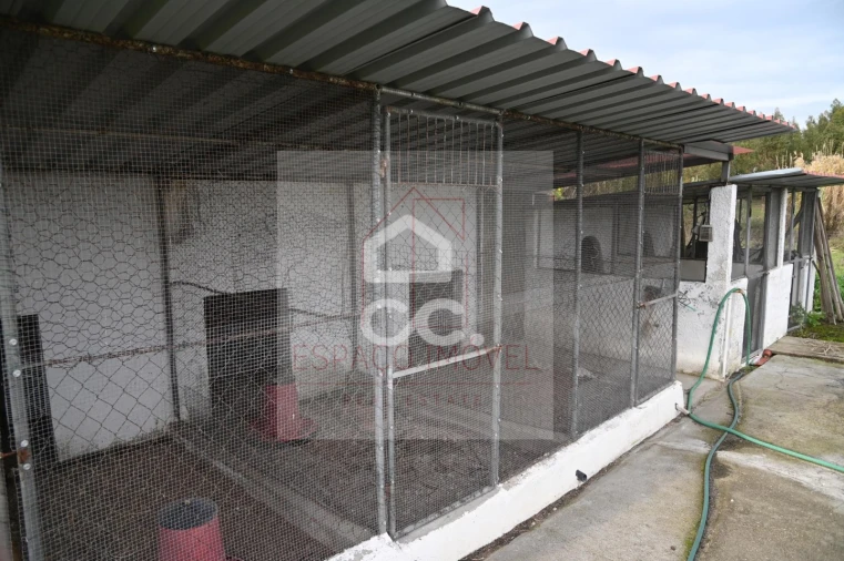 Quinta T3 para Venda em Branca Foto 15