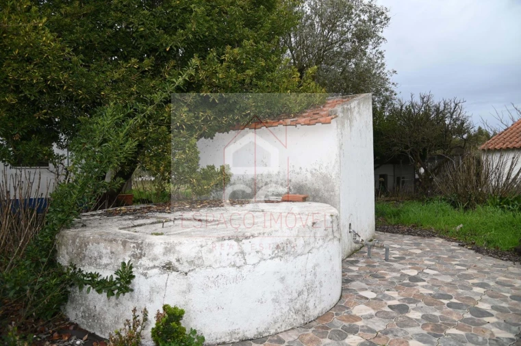 Quinta T3 para Venda em Branca Foto 17