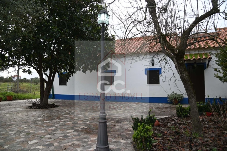 Quinta T3 para Venda em Branca Foto 18