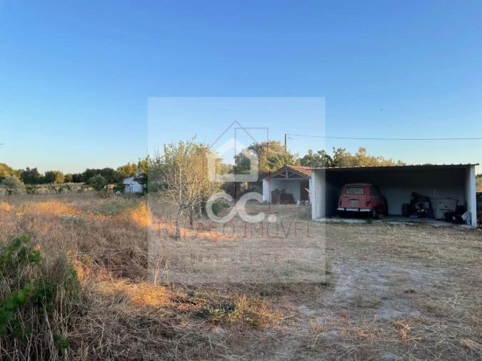 Quinta T3 para Venda em Branca Foto 32