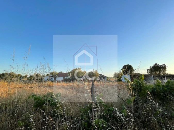 Quinta T3 para Venda em Branca Foto 39