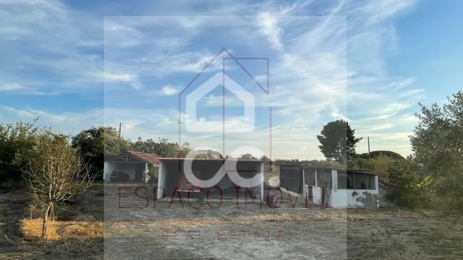 Quinta T3 para Venda em Branca