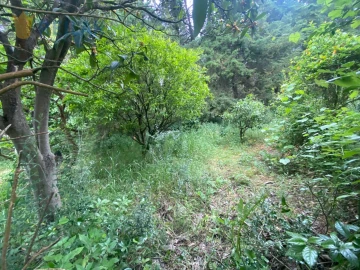Terreno para Venda em Alenquer (Santo Estêvão e Triana)