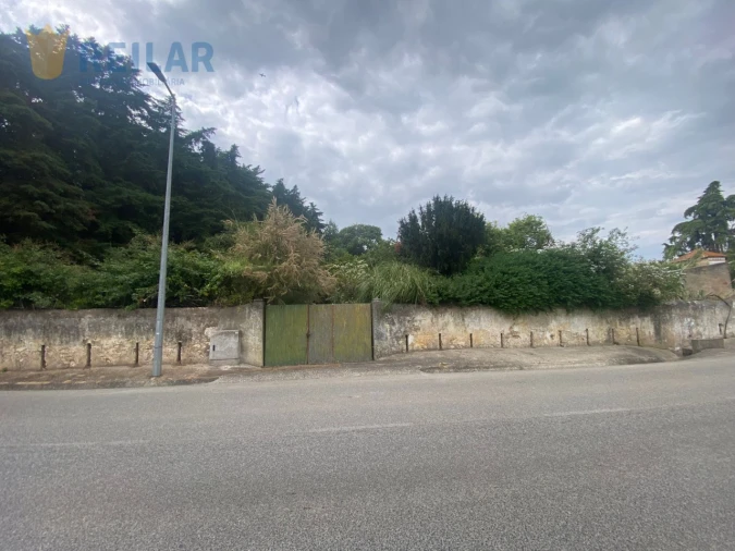 Terreno para Venda em Alenquer (Santo Estêvão e Triana) Foto 5