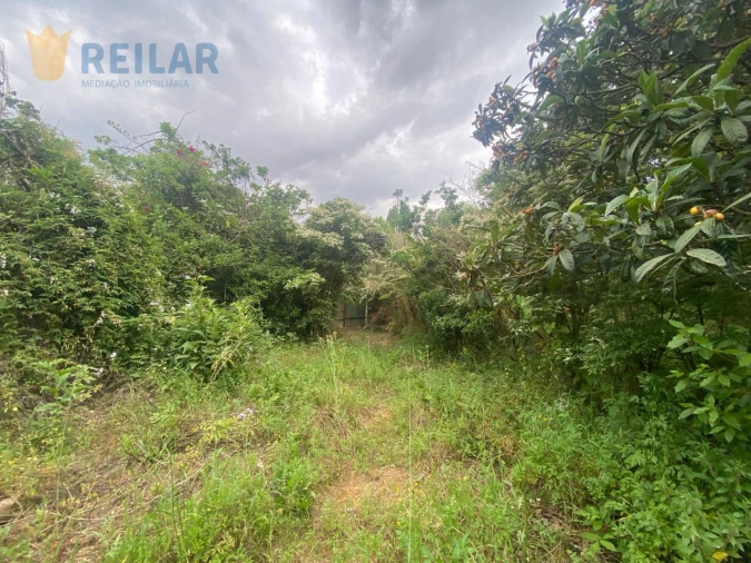 Terreno para Venda em Alenquer (Santo Estêvão e Triana) Foto 8