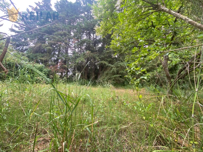 Terreno para Venda em Alenquer (Santo Estêvão e Triana) Foto 10