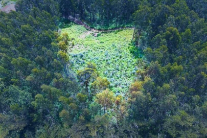 Terreno para Venda em Santa Cruz