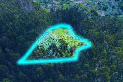 Terreno para Venda em Santa Cruz