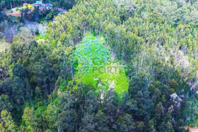 Terreno para Venda em Santa Cruz