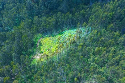 Terreno para Venda em Santa Cruz