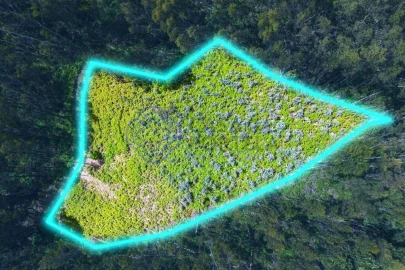 Terreno para Venda em Santa Cruz