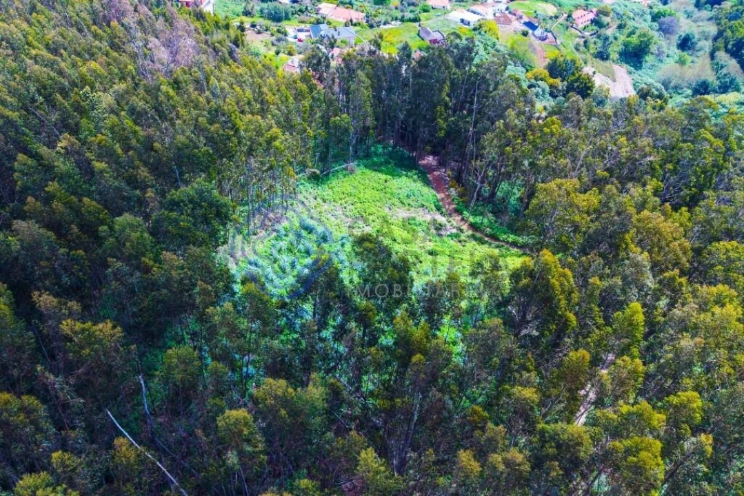 Terreno para Venda em Santa Cruz Foto 7