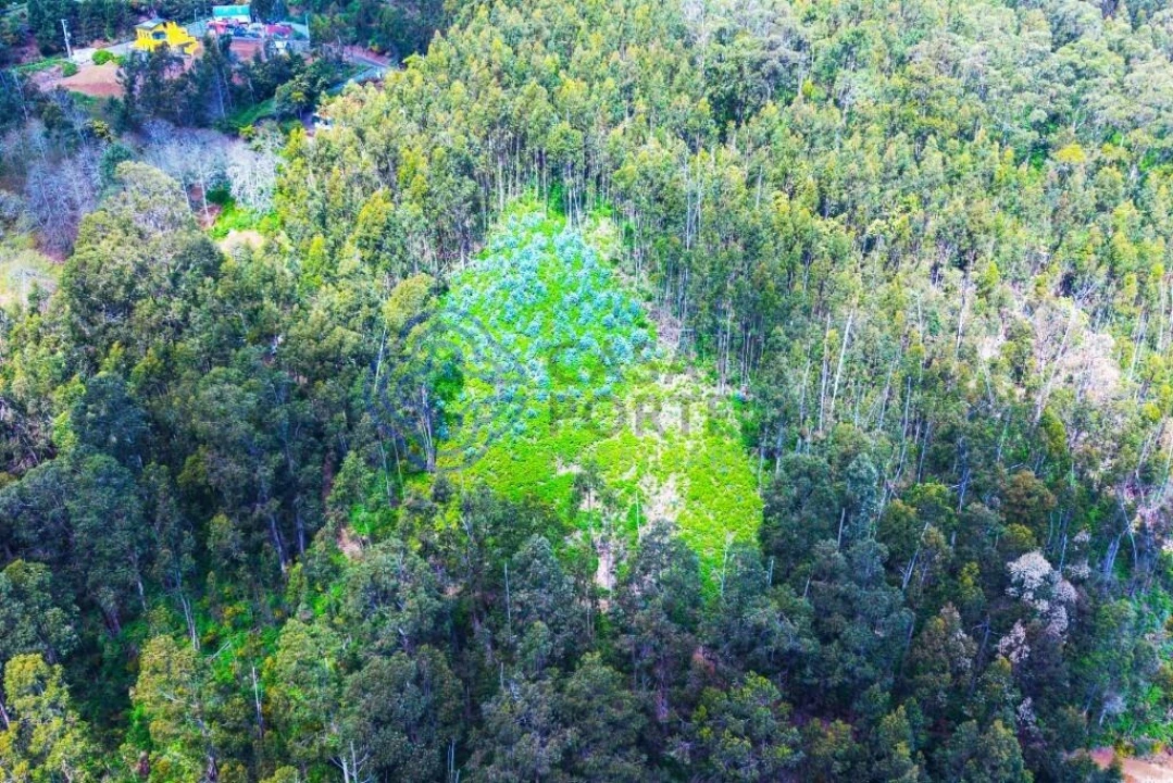 Terreno para Venda em Santa Cruz Foto 10
