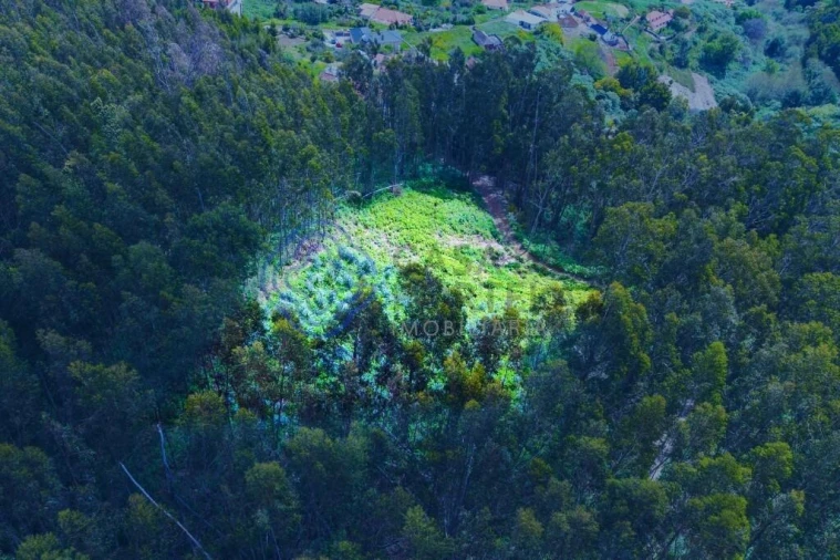 Terreno para Venda em Santa Cruz Foto 9