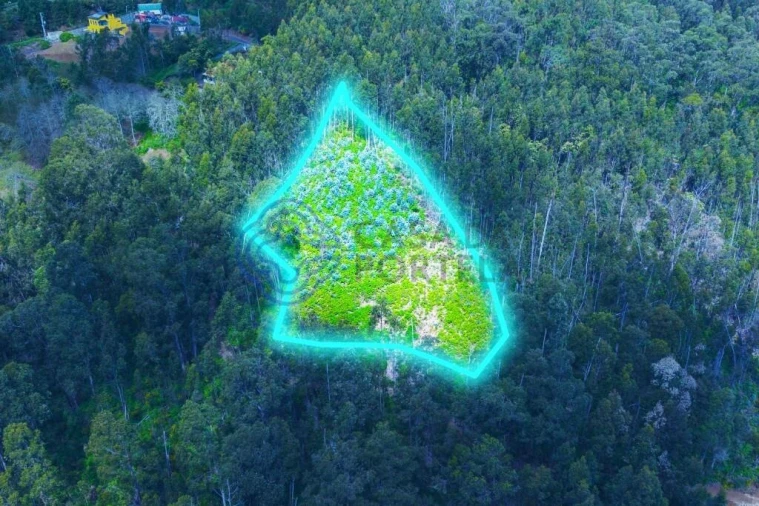 Terreno para Venda em Santa Cruz Foto 11