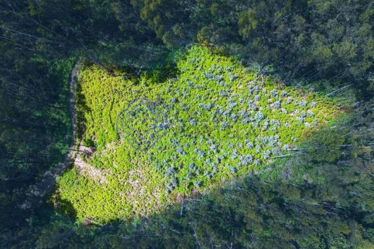 Terreno para Venda em Santa Cruz Foto 3